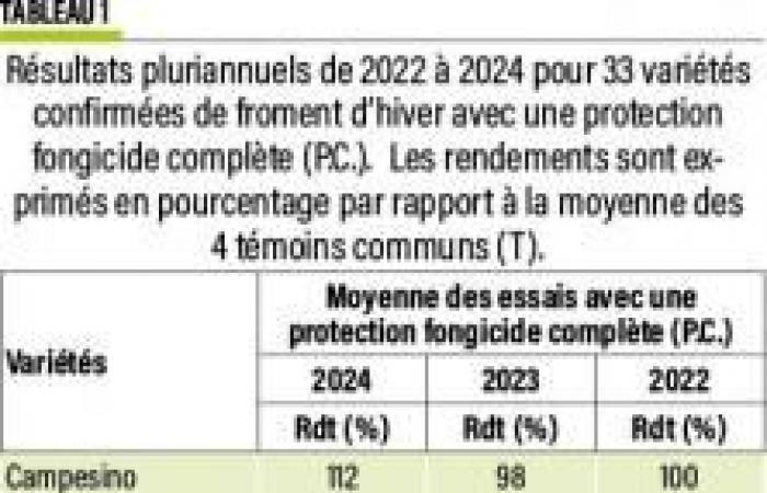 Winter wheat: 2022-2024 yields at a glance