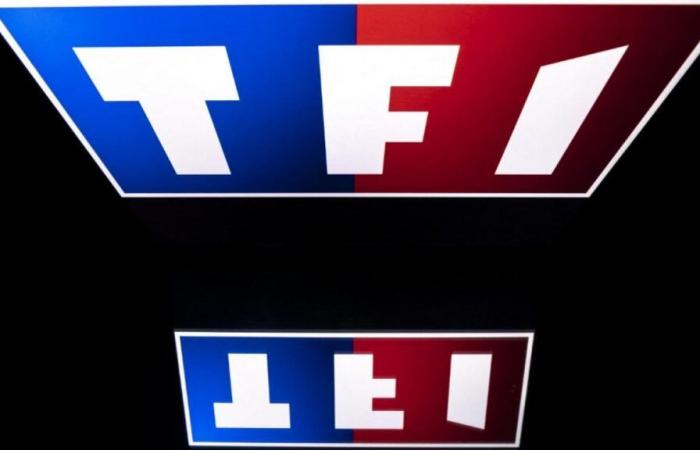 Streaming: why you will soon be able to watch Arte content on TF1 and France Télévisions platforms