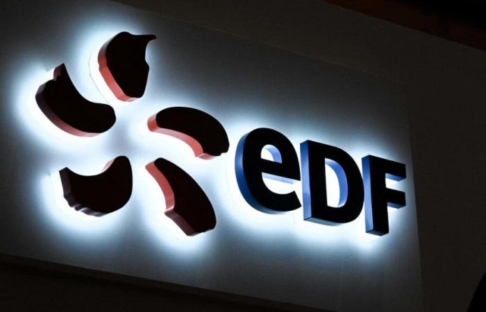 EDF workers strike in Guadeloupe: 46,000 homes without electricity