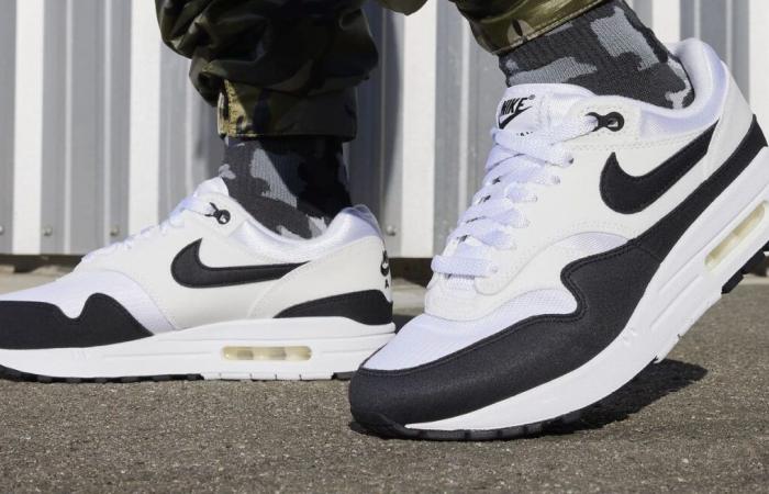 Less than 100 euros for these Nike Air Max 1s that Internet users are snapping up