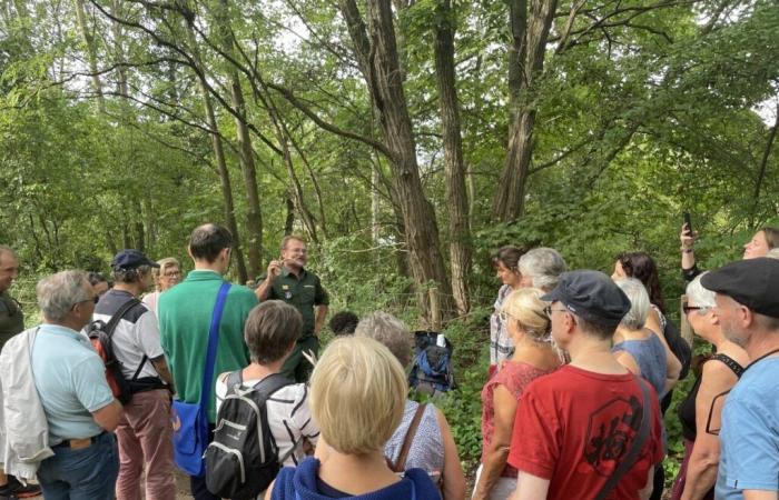 On September 25, discover the forests of Yvelines with those who bring them to life