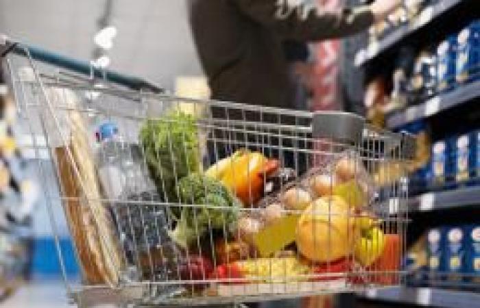 The Real Reason Why Your Oranges or Tangerines Are Often Wrapped in Red Nets in Stores