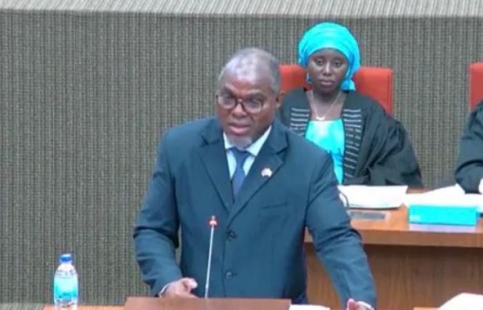 Members of Parliament ask Vice President Jallow to explain his visit to Senegal –