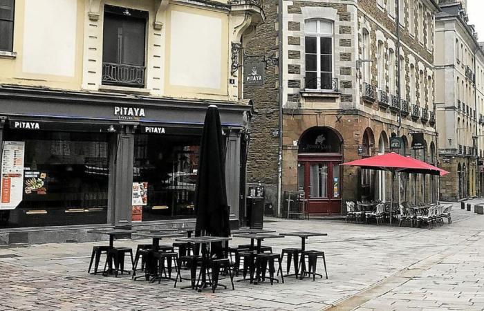 “He admitted stabbing”: Man arrested after murder in Rennes