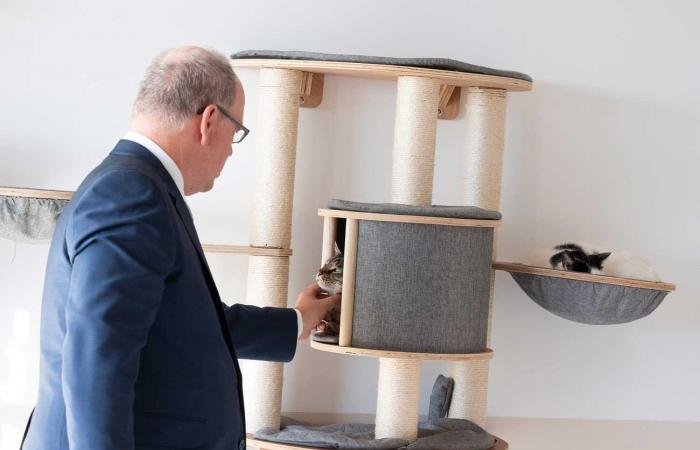 Prince Albert II and Princess Charlene open a haven for animals