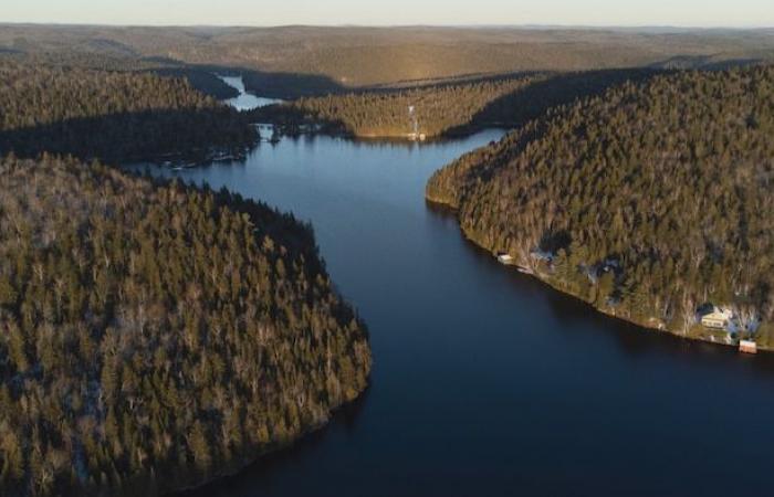 A craze for new protected areas in Gaspésie