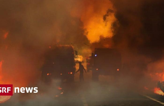 20 large Feuer – Sieben Tote bei Waldbränden in Portugal – News