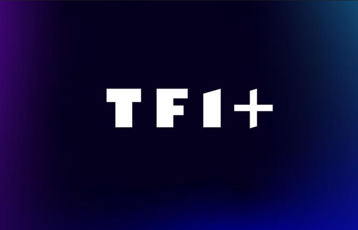 TF1+, available free of charge on Freebox, signs with Arte and an American group to enrich its catalogue