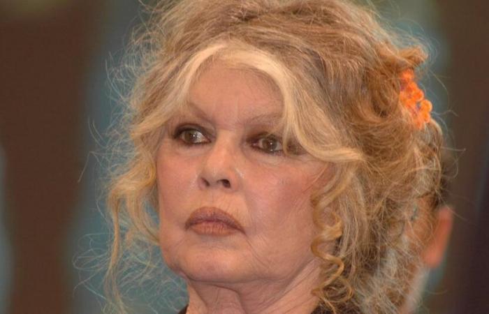 Brigitte Bardot speaks frankly about today’s cinema