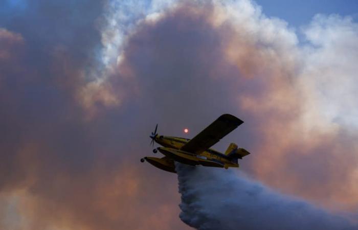 20 large Feuer – Sieben Tote bei Waldbränden in Portugal – News