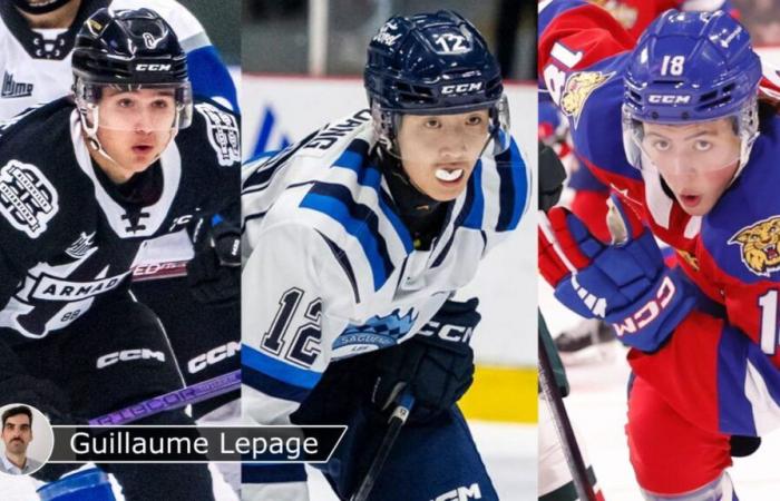 QMJHL: Seven prospects to watch in 2024-25