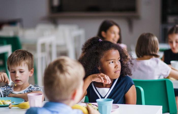 School canteen from yesterday to today: what do parents think?