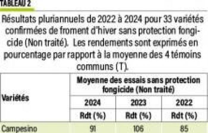 Winter wheat: 2022-2024 yields at a glance