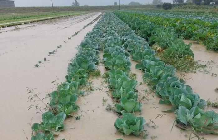 Opnieuw overstromingen in Emilia Romagna