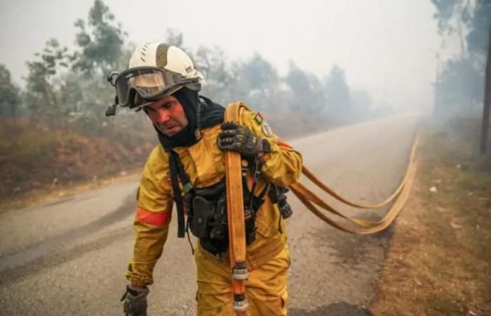 Portugal: Deadly forest fires