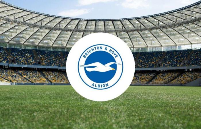 Brighton boss Hurzeler: Adingra great for Cup win