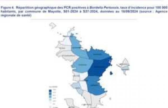 Health: Number of whooping cough cases on the rise this year in Mayotte