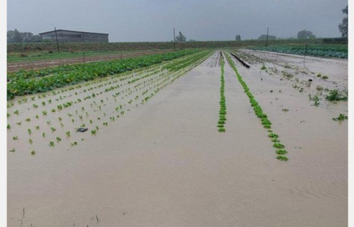 Opnieuw overstromingen in Emilia Romagna