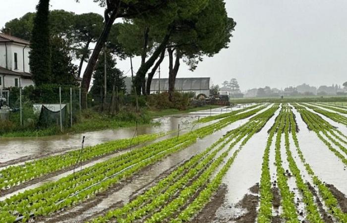 Opnieuw overstromingen in Emilia Romagna