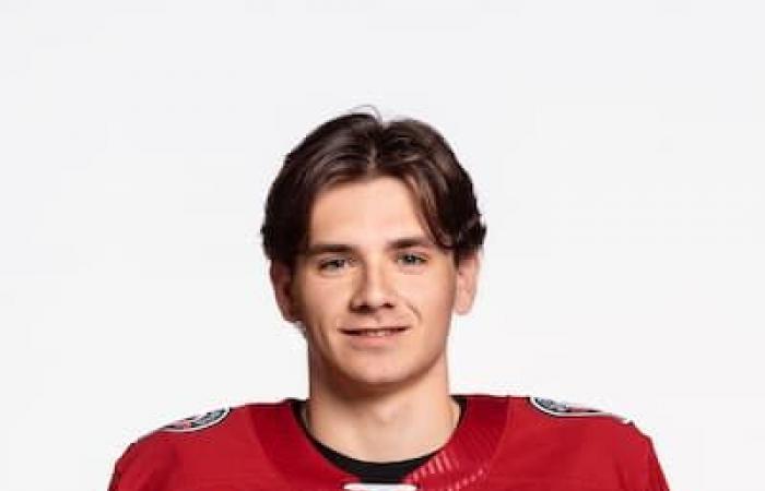 Remparts: here are all the players for the 2024-2025 edition