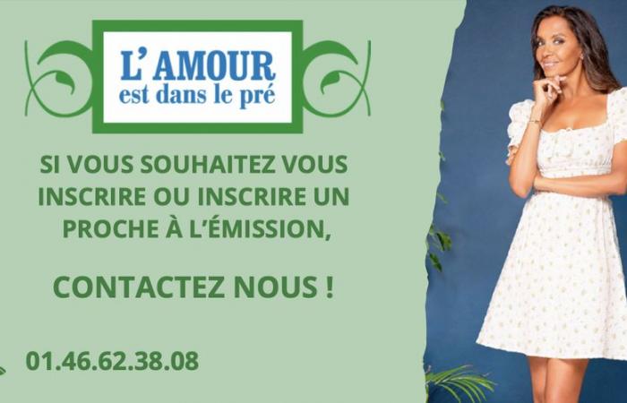 “Love is in the meadow”: Didier from Aveyron found love in the famous show, candidates wanted in your region for season 20