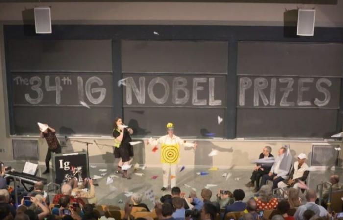 Ig Nobel Prize 2024: Anal breathing and other unusual discoveries