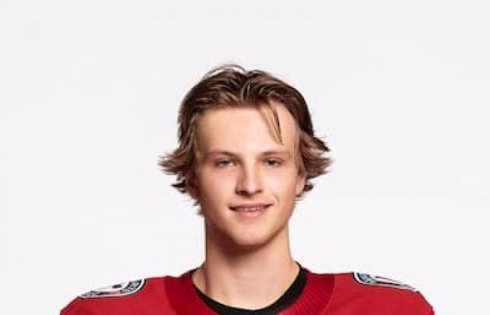 Remparts: here are all the players for the 2024-2025 edition