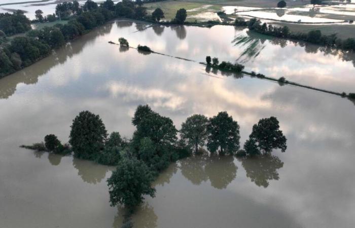 Floods in Poland visible from space (photo)