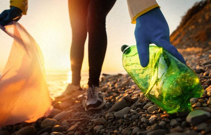 Here are the activities for World Cleanup Day planned in Mulhouse