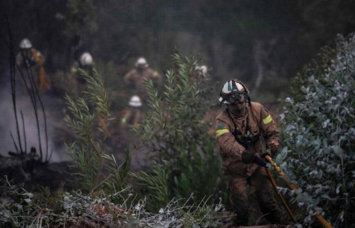 Fires about to be brought under control, plumes of smoke expected over France this weekend