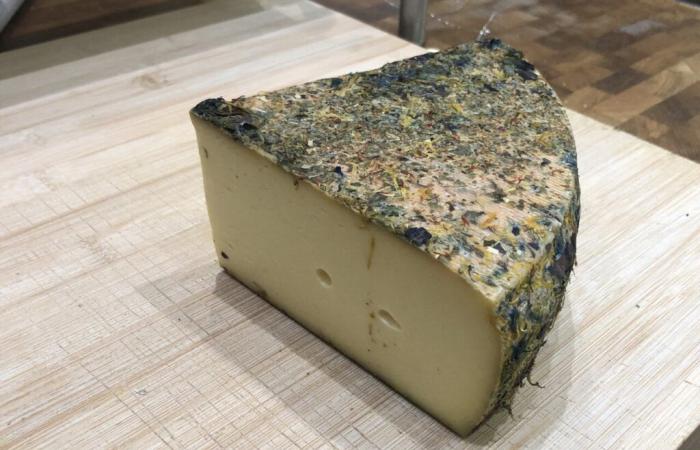 Contaminated cheese, sold in several stores, recalled throughout France