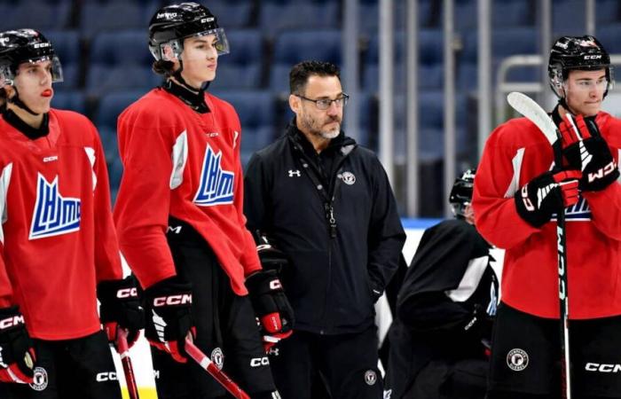 Remparts: here are all the players for the 2024-2025 edition