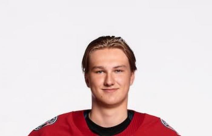 Remparts: here are all the players for the 2024-2025 edition