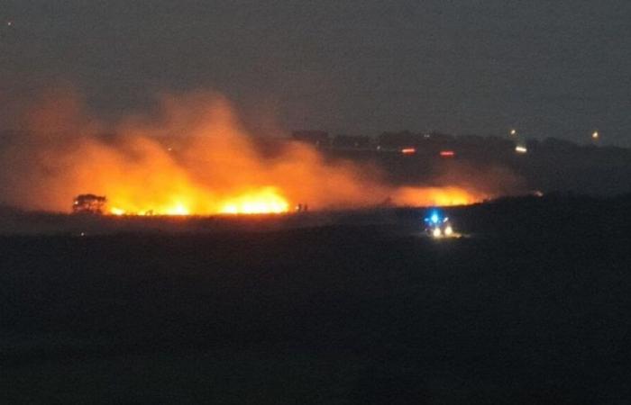 A hectare of vegetation went up in smoke on the heights of Tourlaville