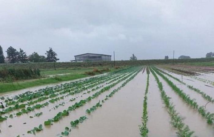 Opnieuw overstromingen in Emilia Romagna