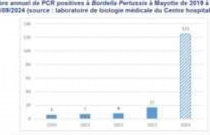 Health: Number of whooping cough cases on the rise this year in Mayotte