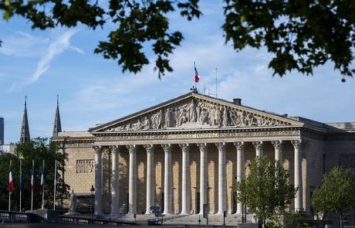 Tour through the heart of the National Assembly – Heritage Days 2024 – National Assembly – Paris, 75007