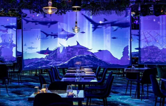 5 immersive restaurants to try in Paris – Paris Select