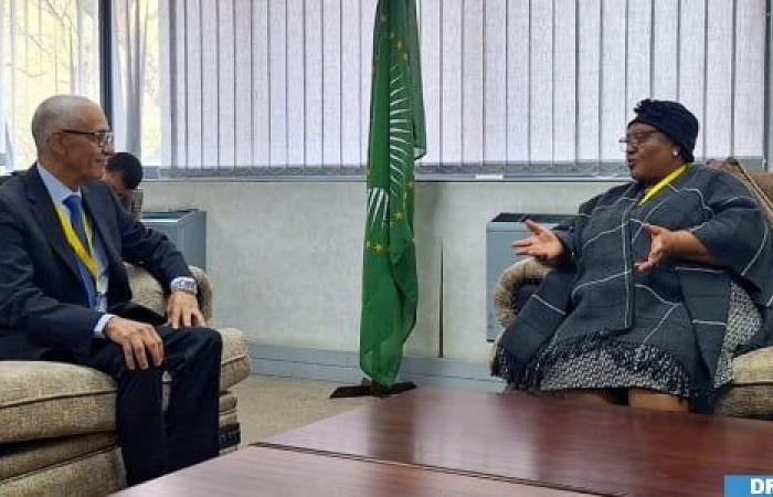 Mr. Talbi El Alami meets in Johannesburg with the Speaker of the South African Parliament