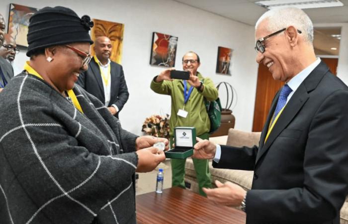 Strengthening parliamentary ties between Morocco and South Africa | APAnews