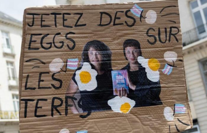 In Lyon, 300 people demonstrate against the arrival of Marguerite Stern at Issep