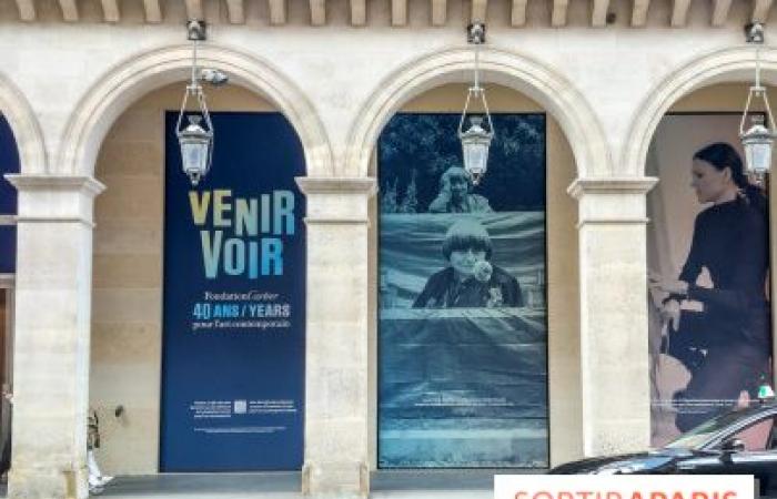 Paris: a photo installation visible on the future Fondation Cartier located near the Louvre