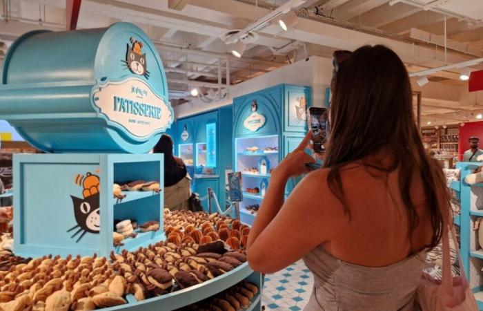 New York toy giant FAO Schwarz arrives in Paris