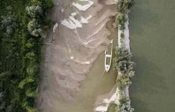 Sunk by the Nazis, these disturbing German warships resurface in a river – Evening edition Ouest-France