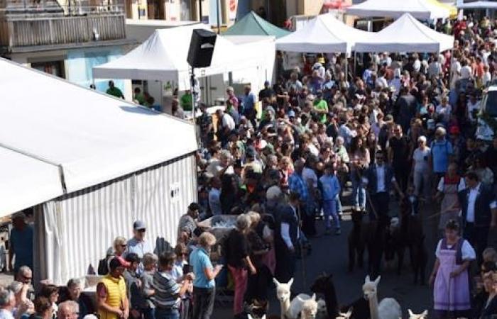 Traditions: Full house for the Planfayon descent from the Alps