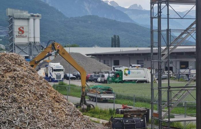 Retripa innovates with the largest wood recycling platform in French-speaking Switzerland