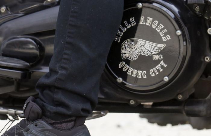 Conflict between bikers and street gangs | Quebec police fear a war worse than that of the 1990s