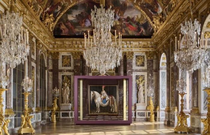 After having taken over the park, the horse is invited into the salons of the Palace of Versailles