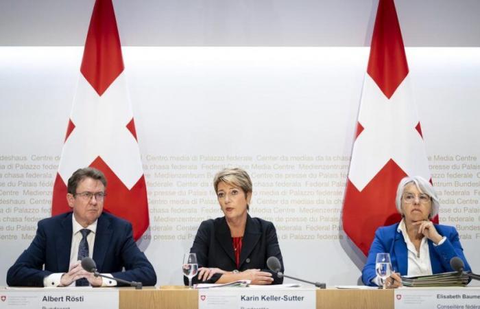 Federal Council’s economy plan sparks strong reactions – rts.ch