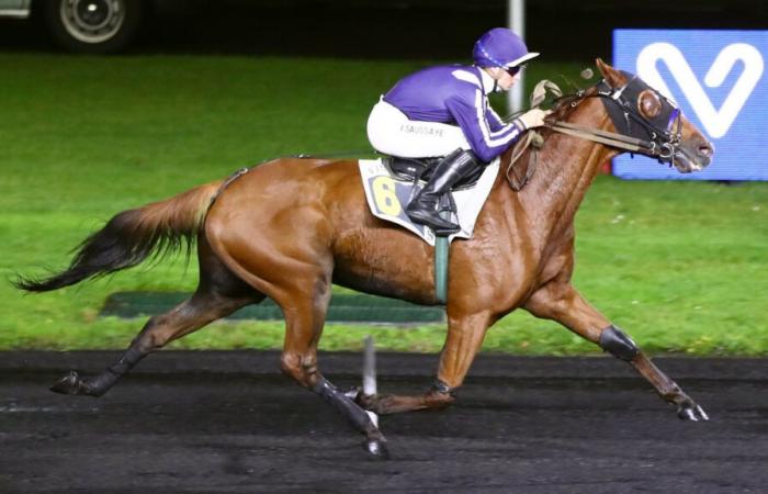 SUNDAY RACES IN PARIS-VINCENNES